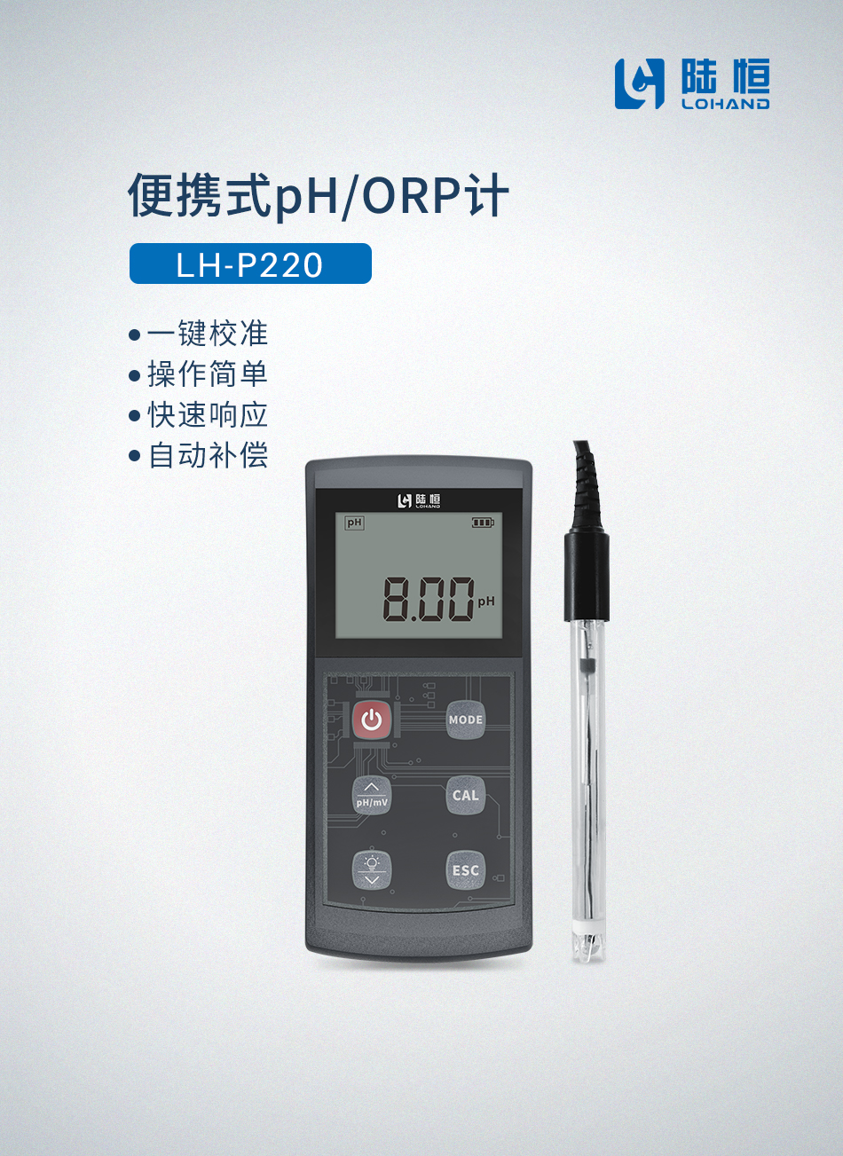 便携式PH/ORP计P220